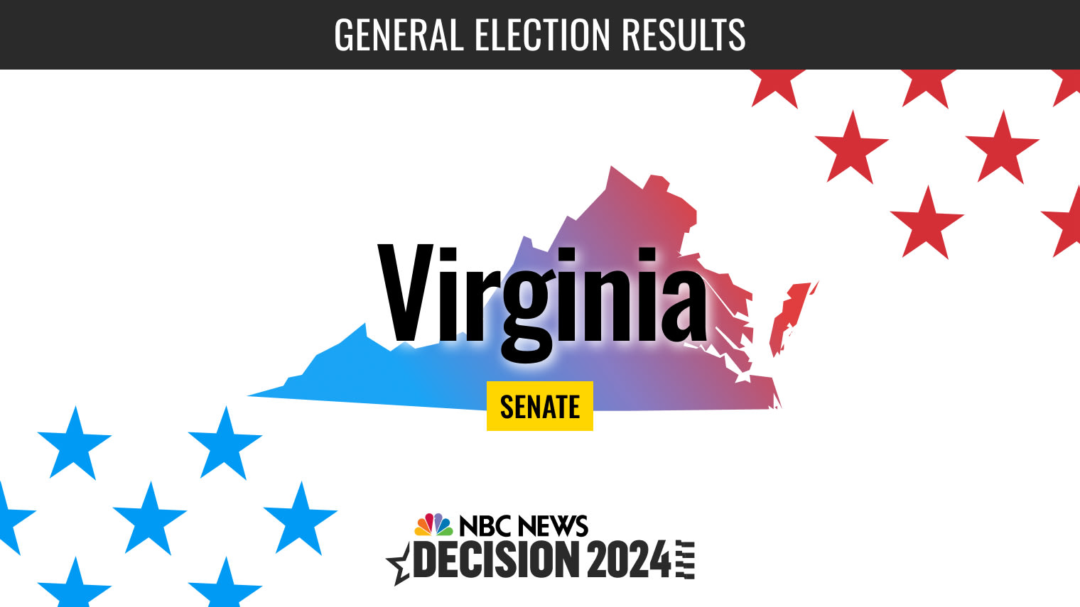 Virginia Senate Election 2024 Live Results